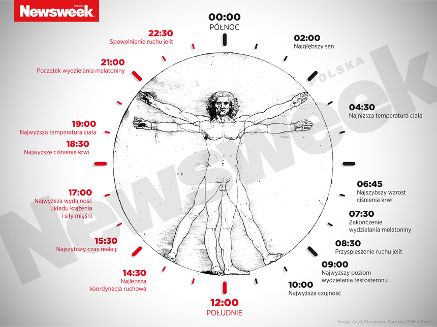 Anatomia Człowieka Jakie Tematy Biologiczne Zostały W Nich Omówione Zegar biologiczny. Nobla z fizjologii i medycyny za badania - Nauka