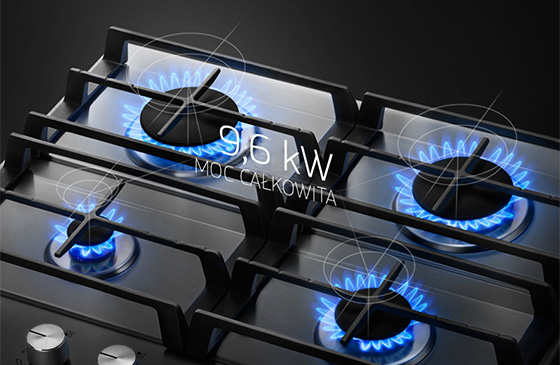 na64h3010as_4_palniki