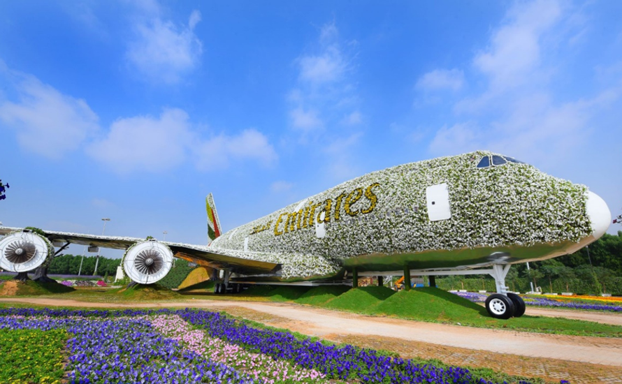 Morze kwiatów na pustyni? Miracle Garden w Dubaju
