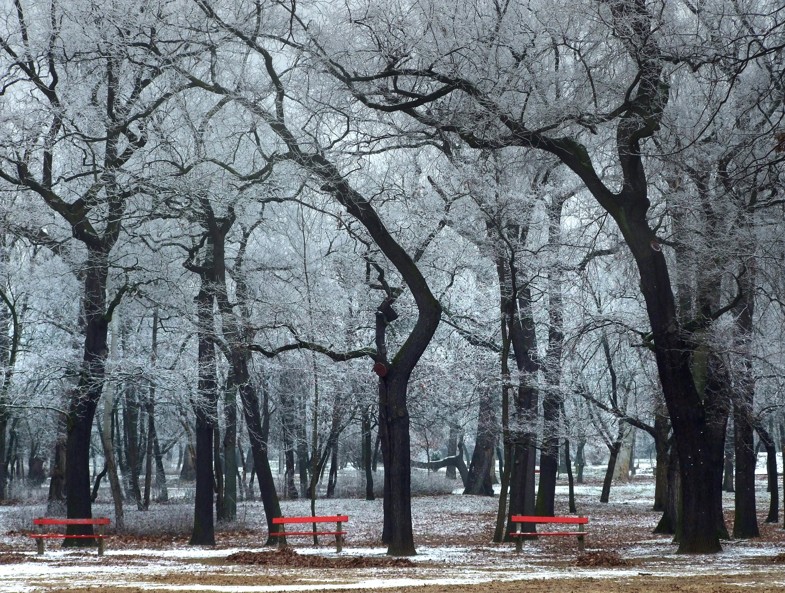 2 hét alatt 9 áldozat: tarol a fagyhalál a főváros utcáin