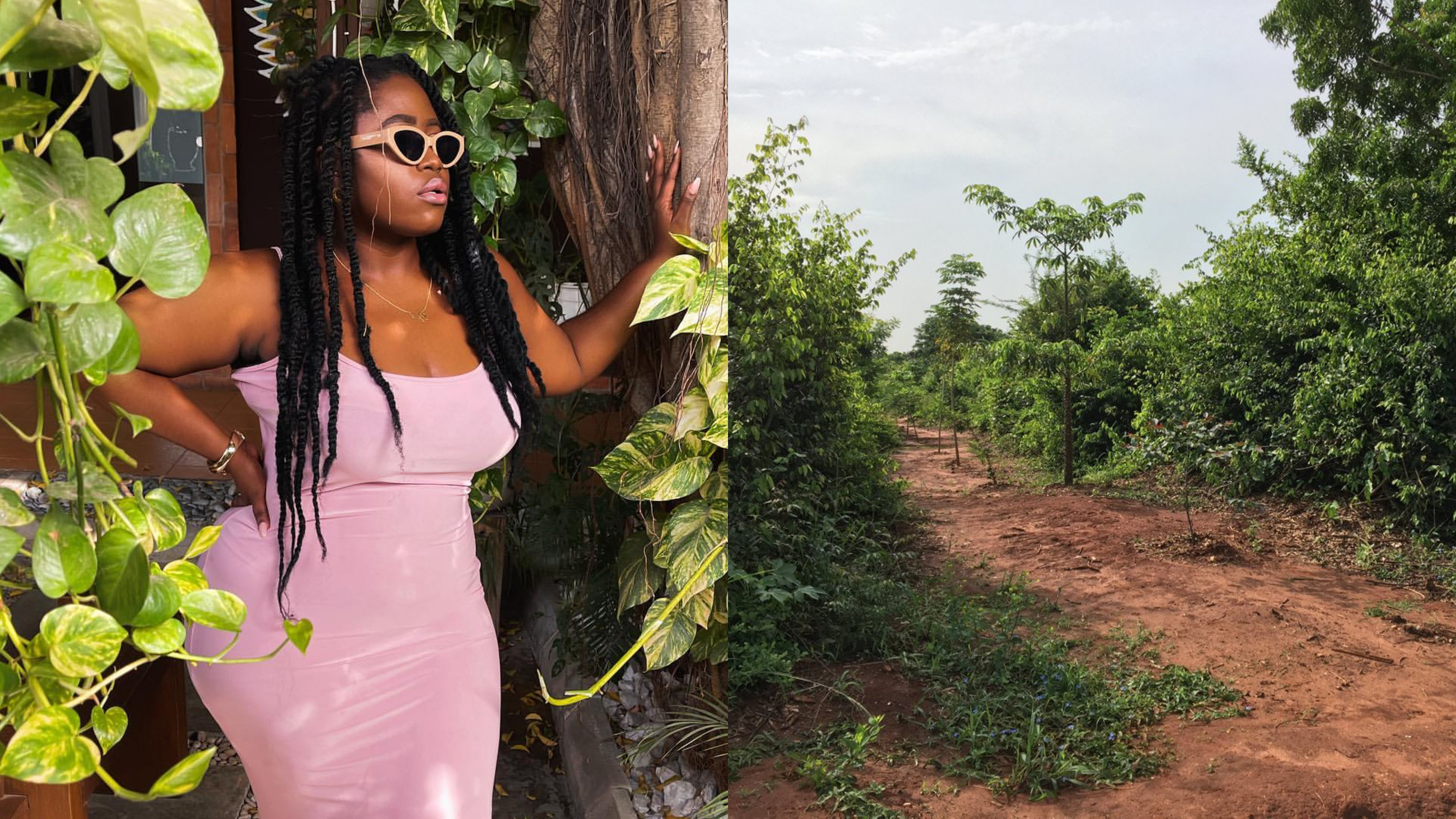 Lydia Forson, Nana Aba, KSM and more speak against Achimota Forest declassification