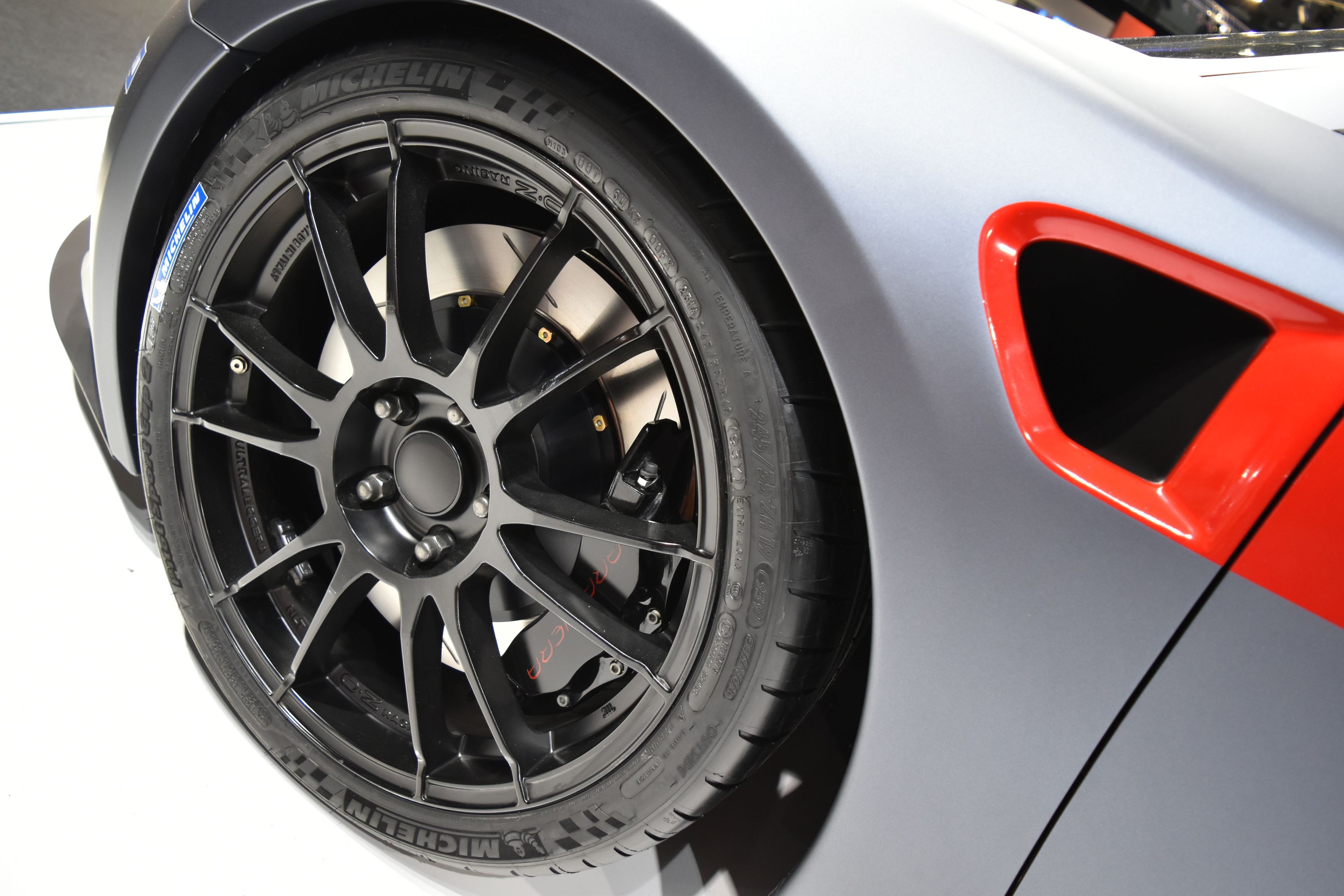 Arrinera hussarya