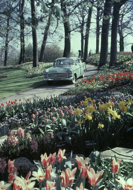 Opel Kapitän P1 (2.5 Ltr.) Luxus, 1958