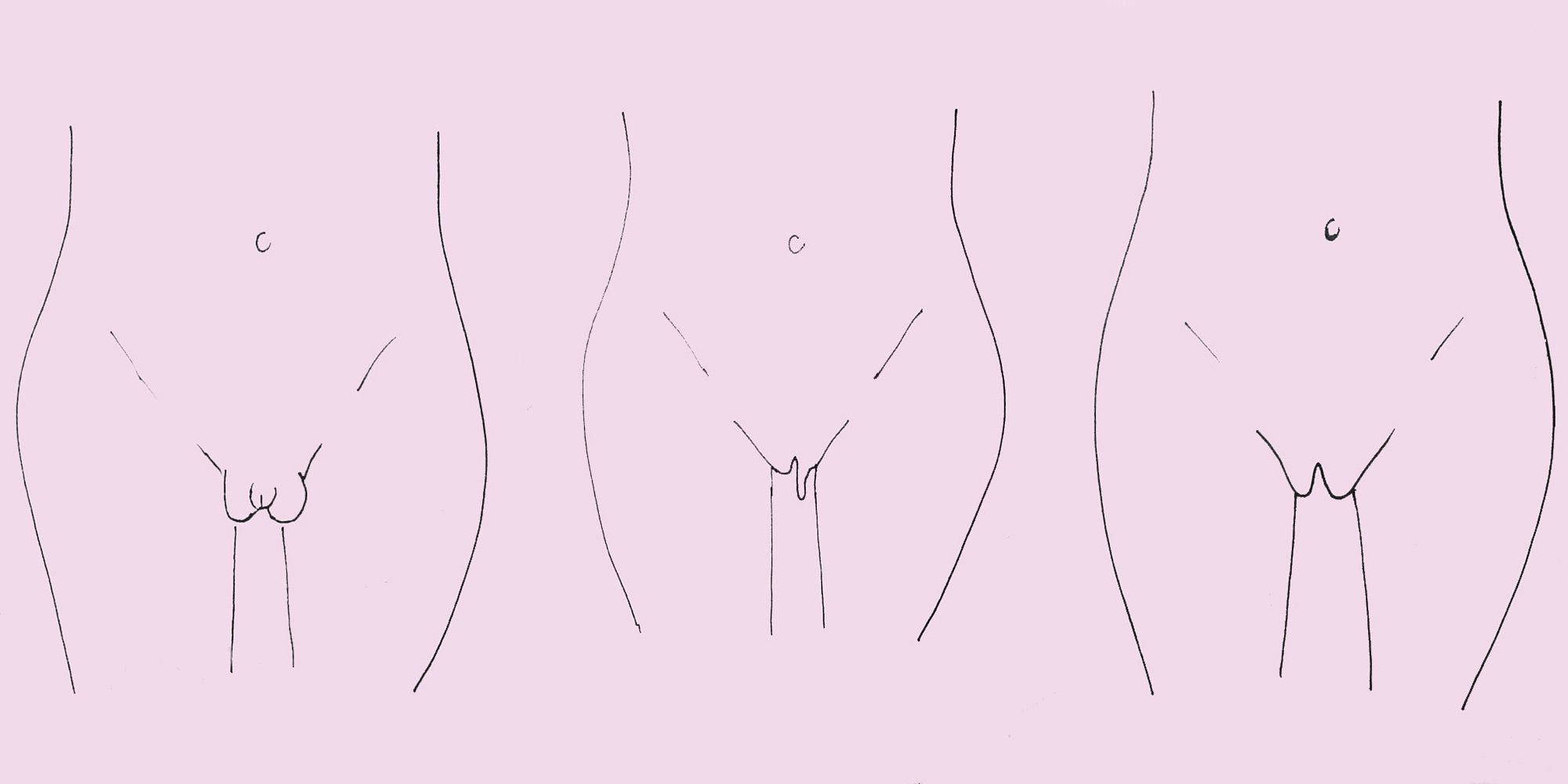 Shapes Of Pussy.