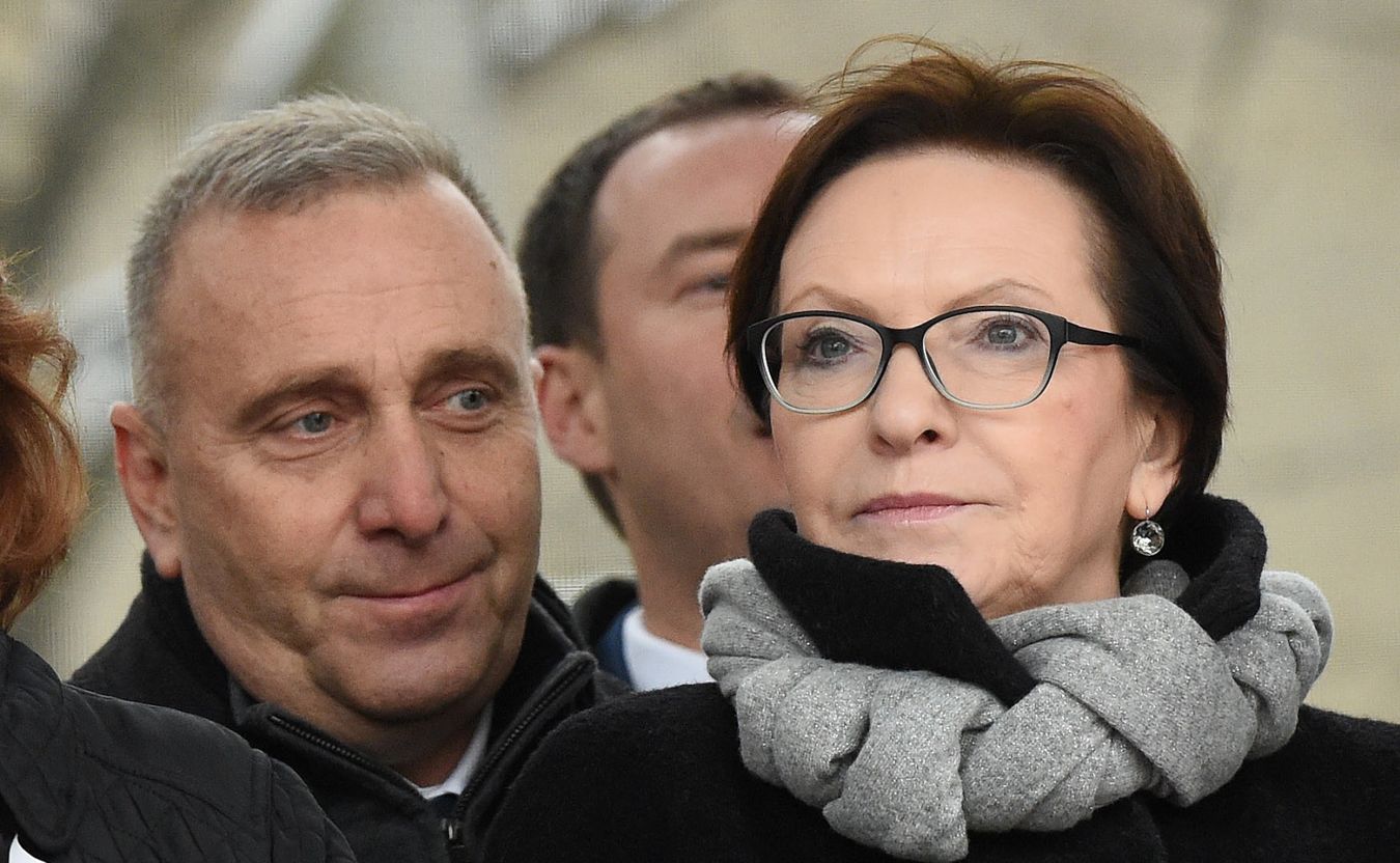 Uczestnicy marszu trzymali flagi narodowe i unijne oraz te, które są opatrzone znakiem KOD, PO i Nowoczesnej, SLD