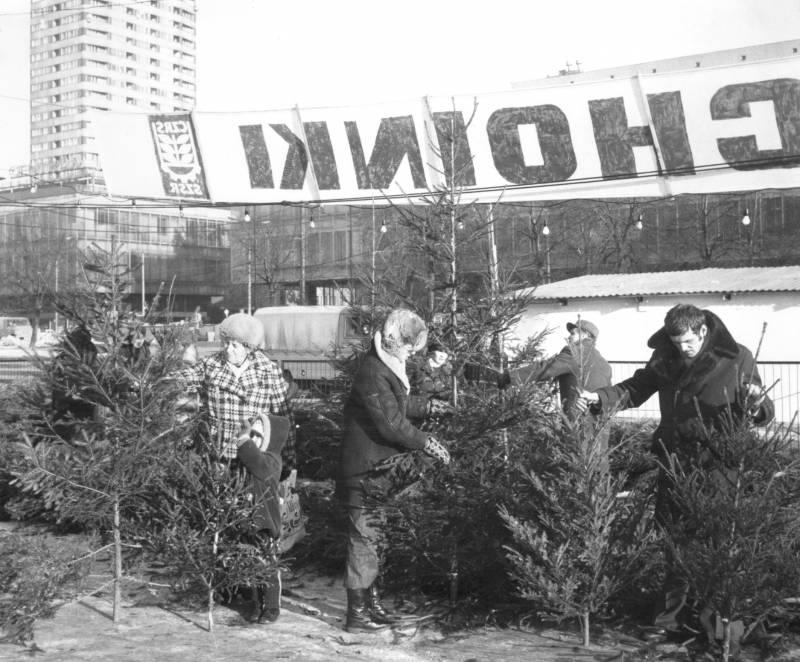 Warszawa 12.1977. Sprzedaż choinek na Placu Defilad