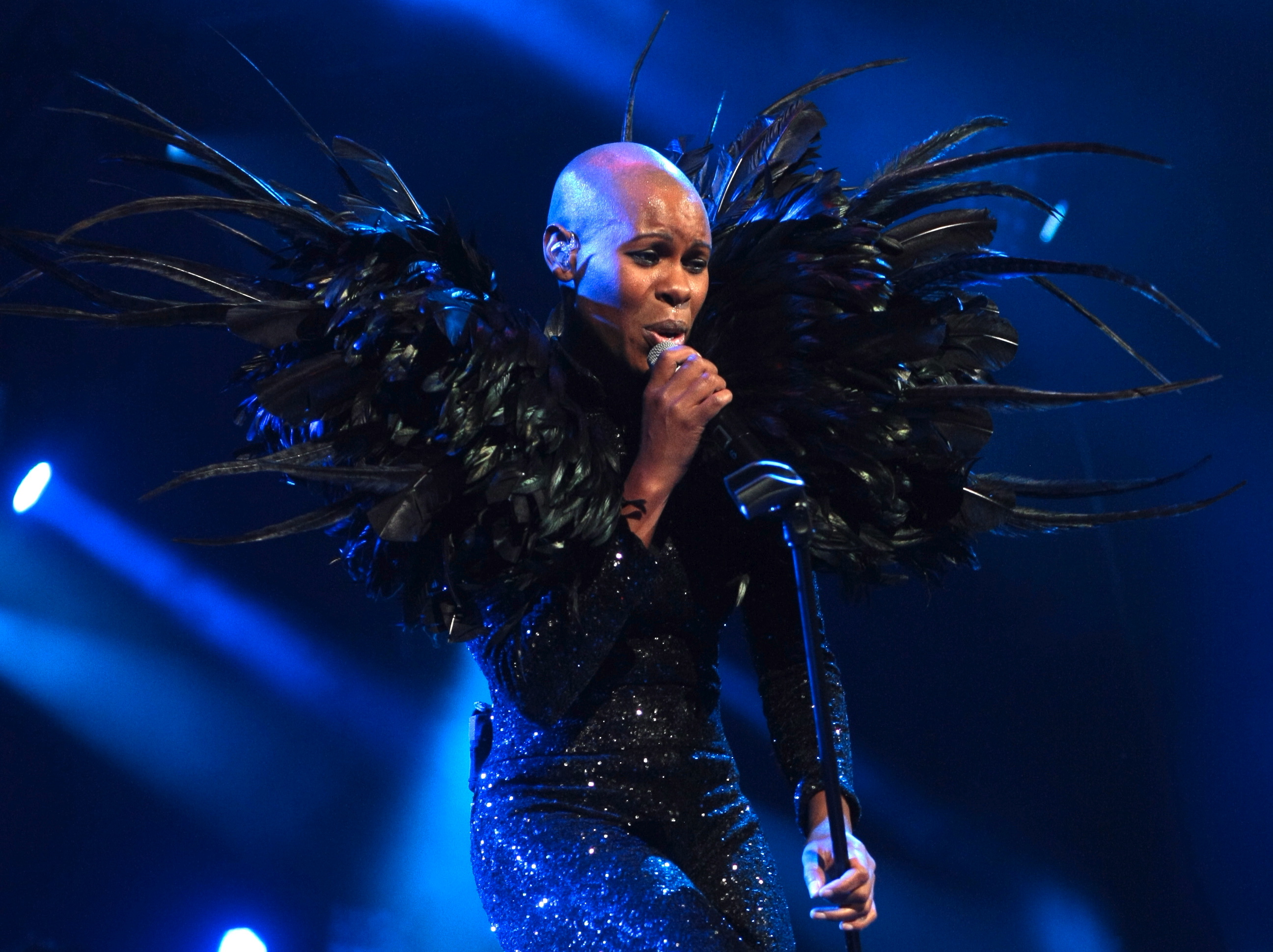Skunk Anansie