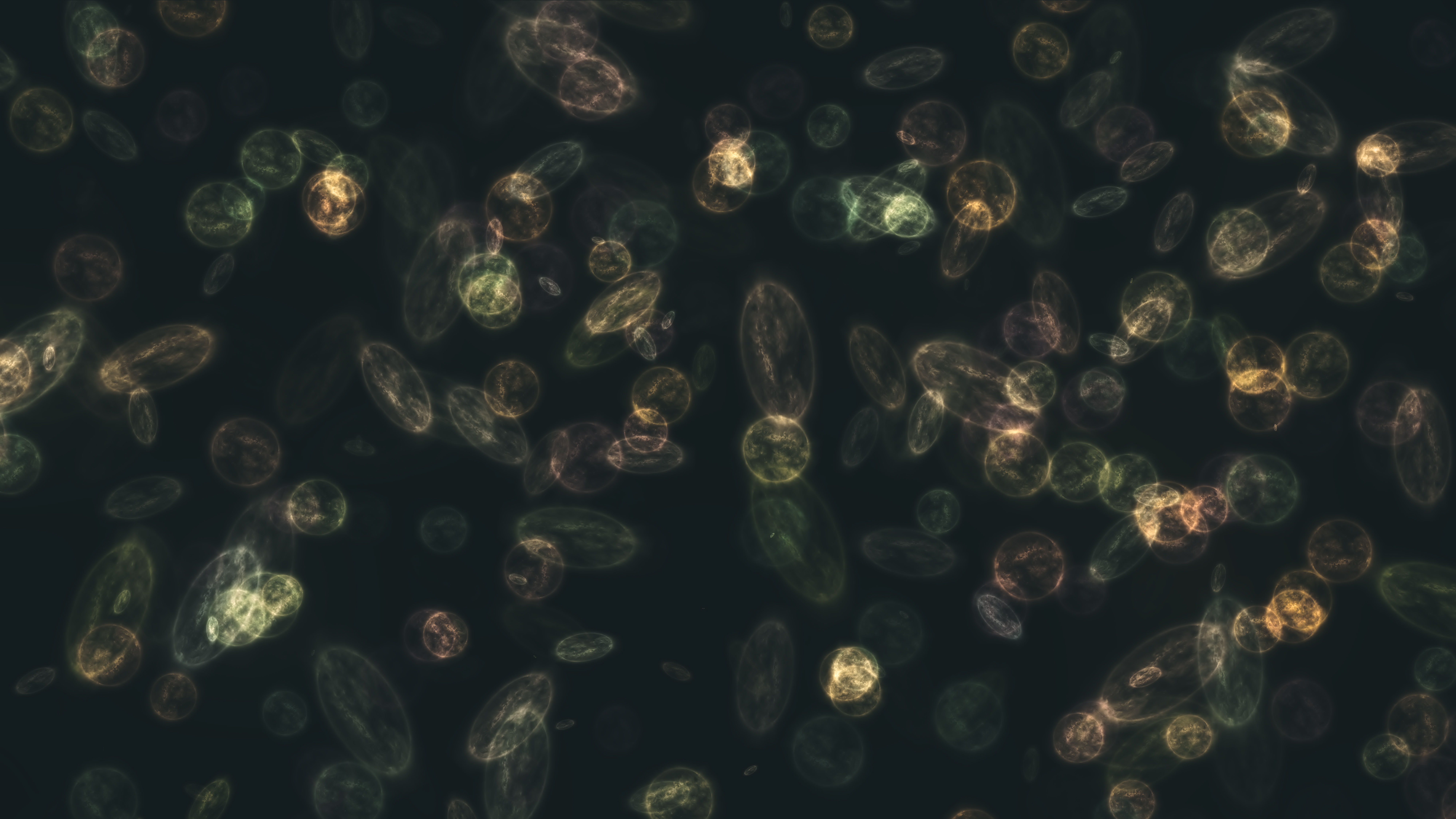 Csirke kebab miatt terjed a szalmonella-járvány a szomszédban, egy ember már belehalt