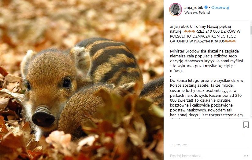 Anja Rubik prosząc fanów o podpisywanie petycji napisała: NIE MOŻEMY DOPUŚCIĆ DO WYMORDOWANIA NIEMALŻE CAŁEJ POPULACJI DZIKÓW W POLSCE!