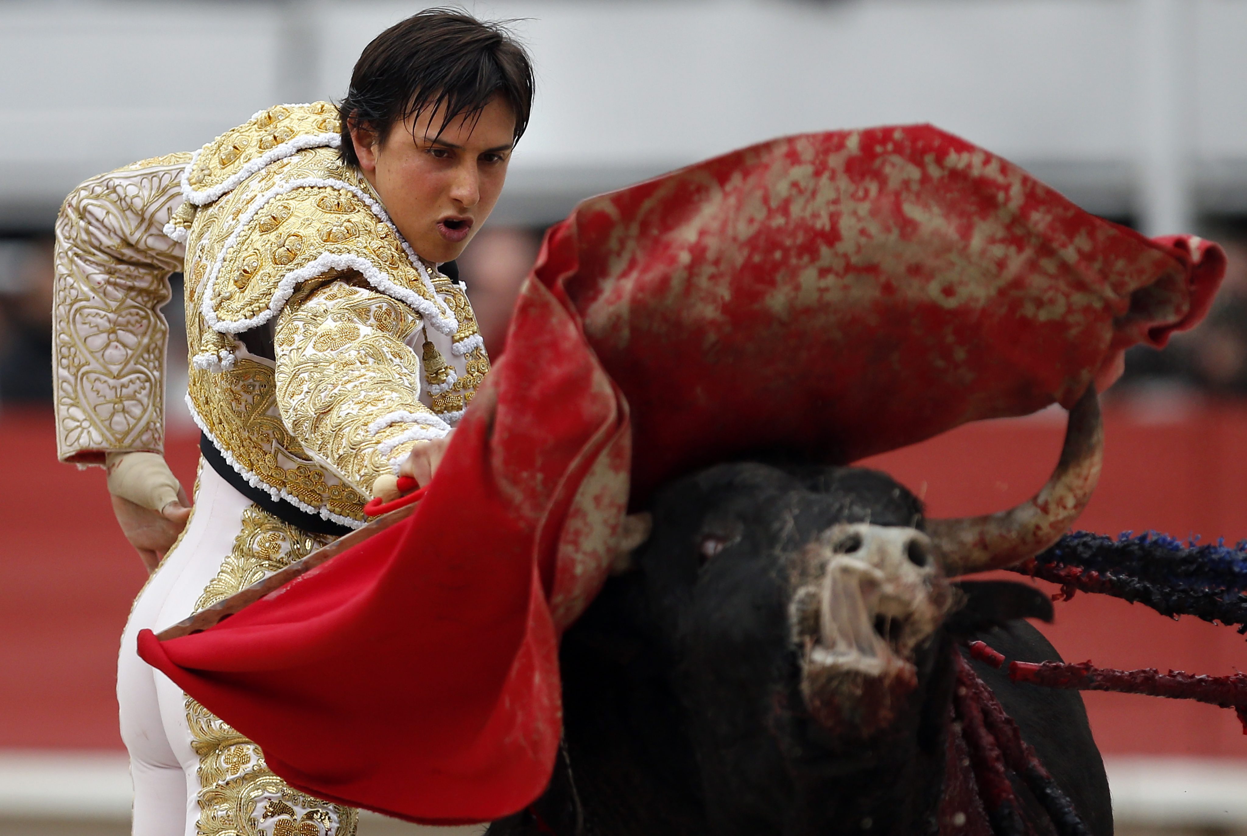 Felöklelte a bika a matadort - Fotók! - Blikk