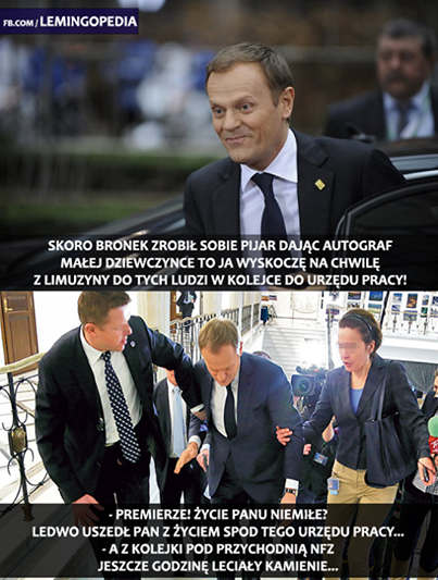 mem / Lemingopedia