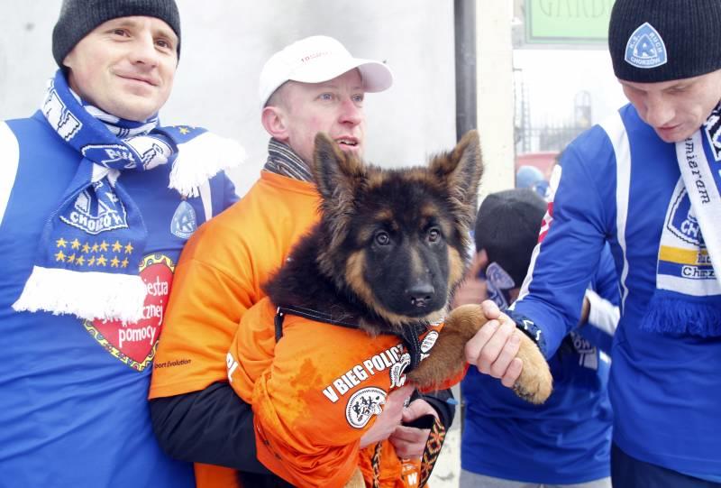 Wośp cukrzyca policz się z cukrzycą bieg