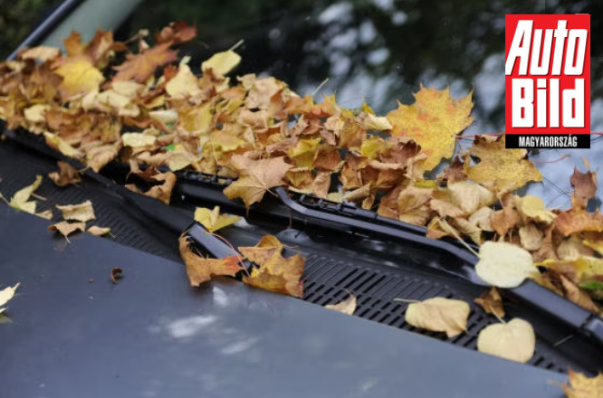Ezt az 5 tippet fogadja meg, ha gyakran vezet autót az őszi, nyirkos időszakban