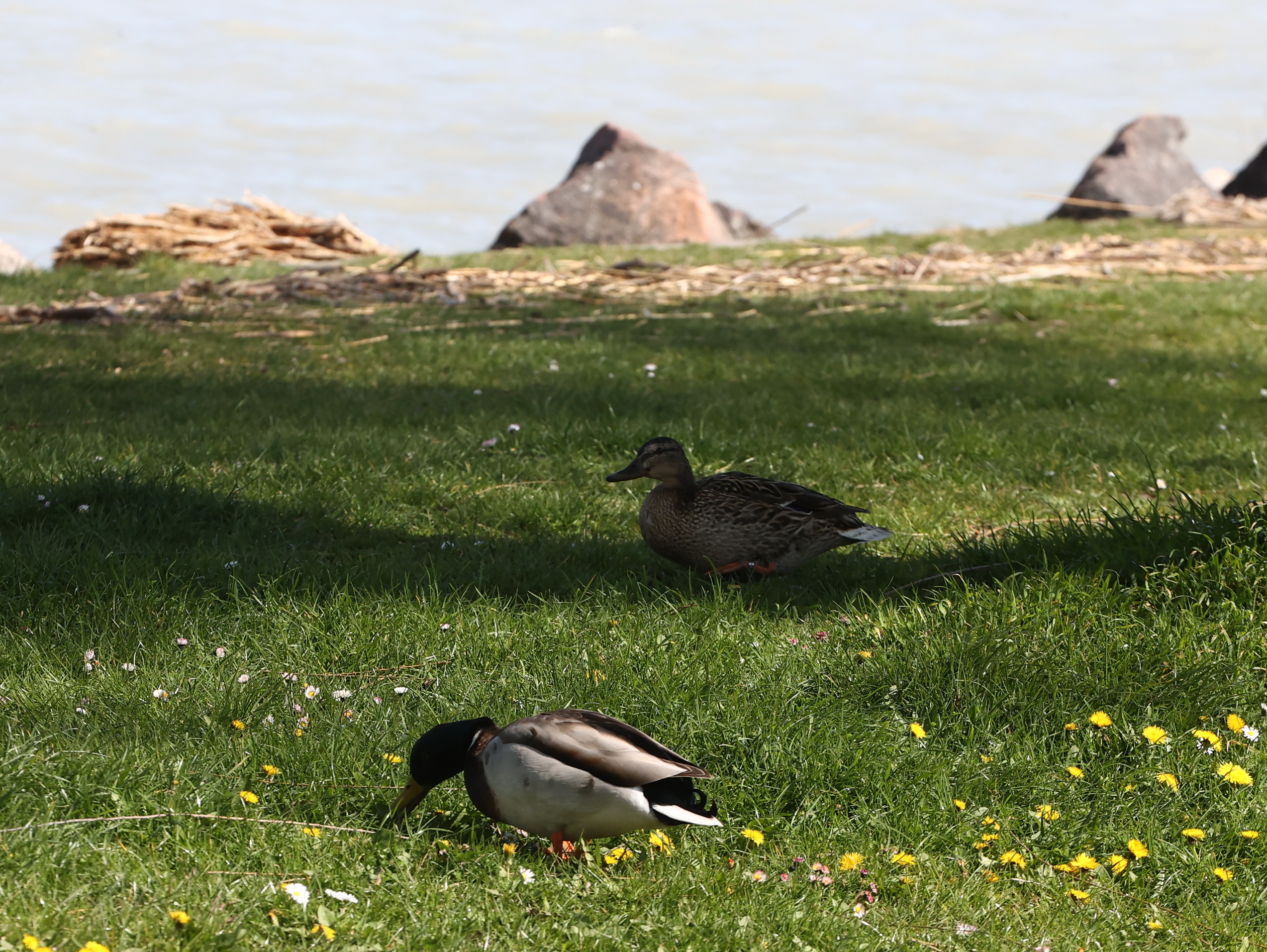 Ma még gyönyörű tavasz lesz, de hétfőtől komolyan megváltozik az időjárás: mutatjuk