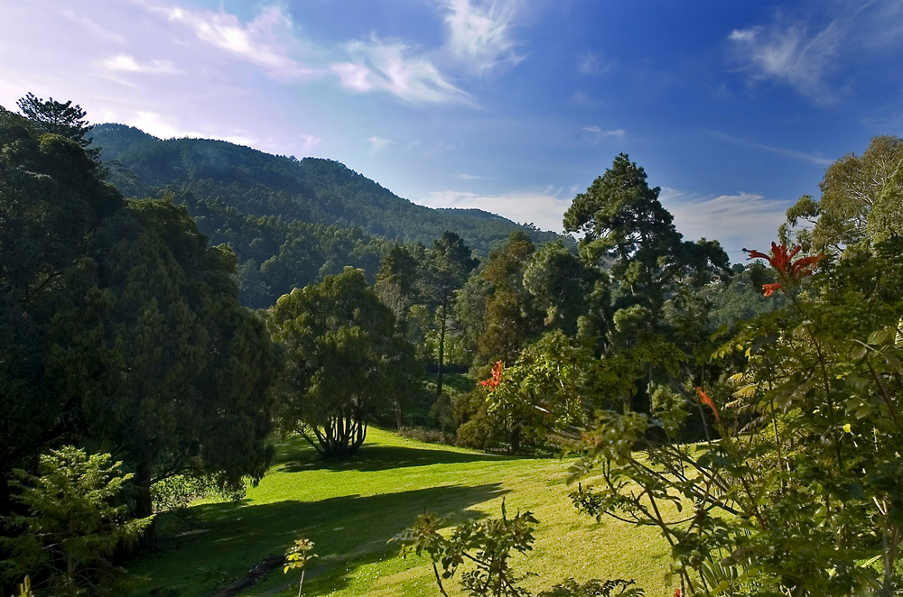 Park Monserrate