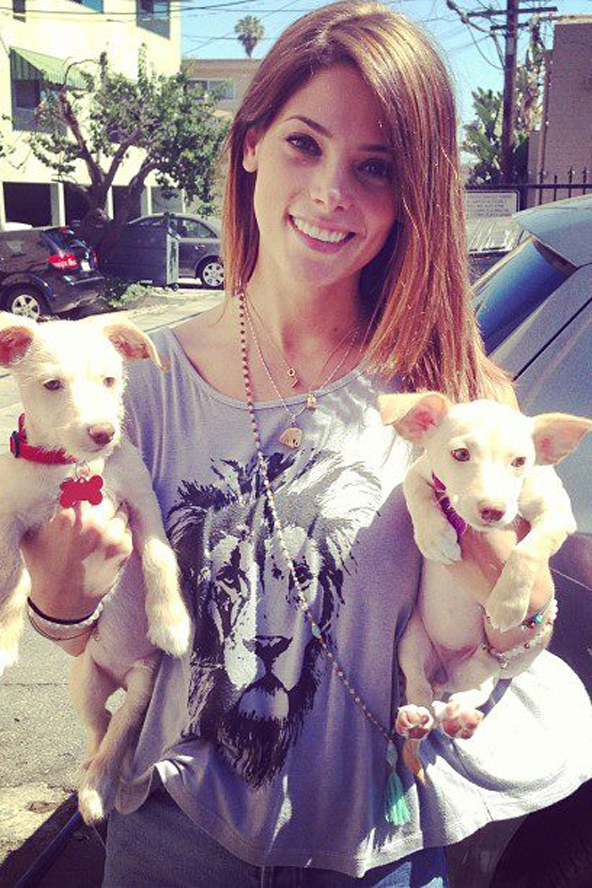 Ashley Greene és újonnan örökbefogadott kiskutyái
