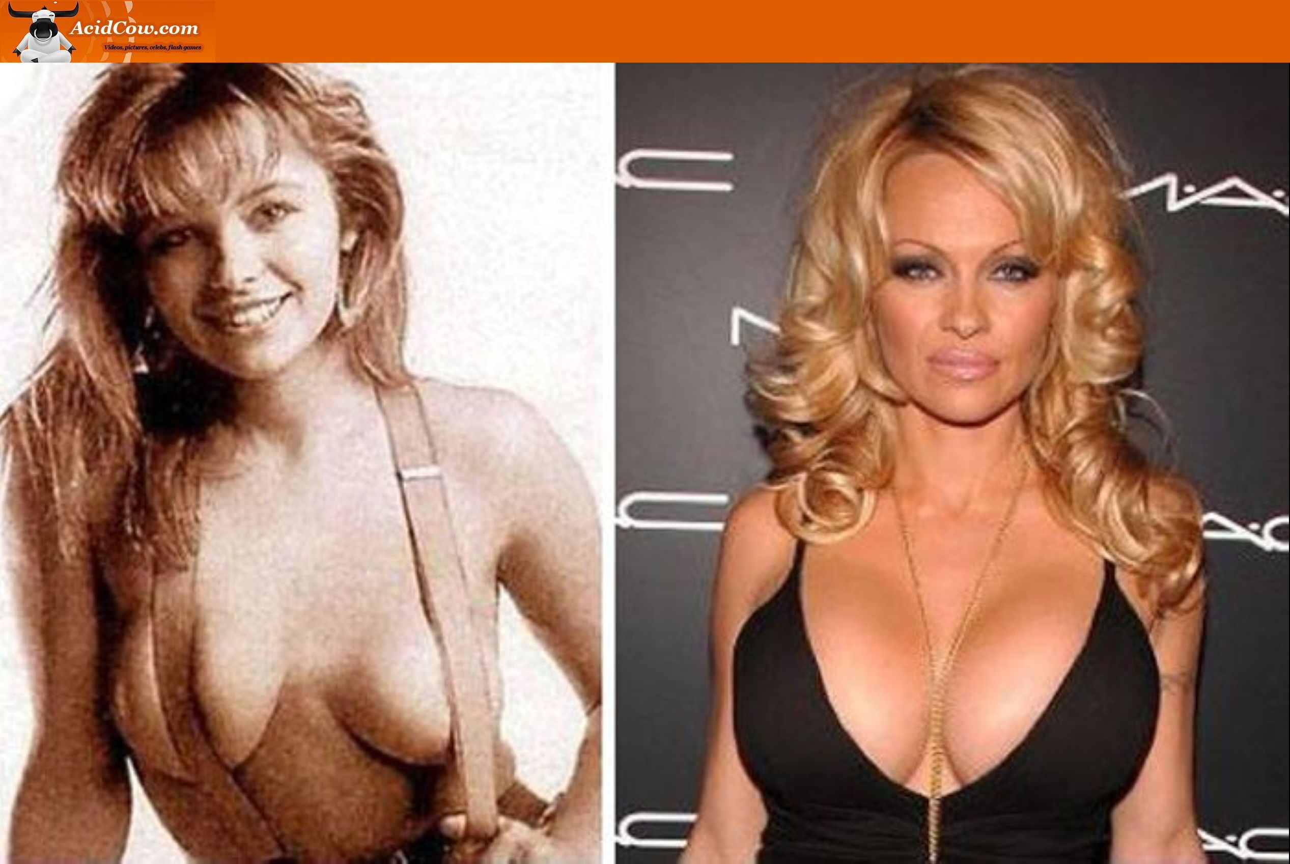 Pamela Anderson