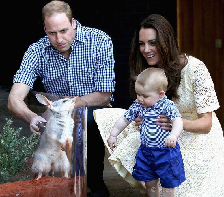 Książę George podczas wizyty w Australii