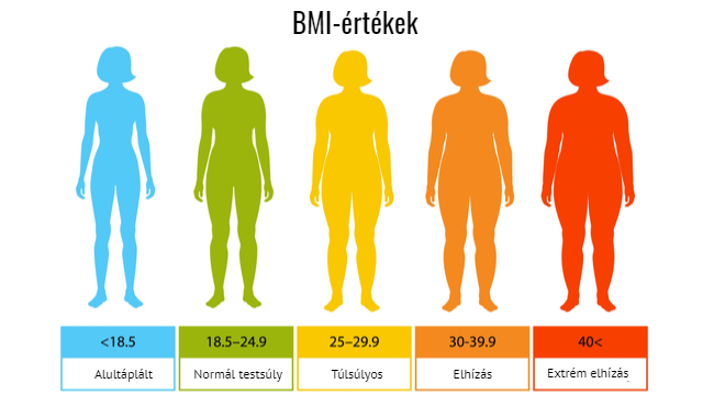 Testtömegindex kiszámítása BMI-kalkulátorral: nézze meg, túlsúlyos-e |  EgészségKalauz