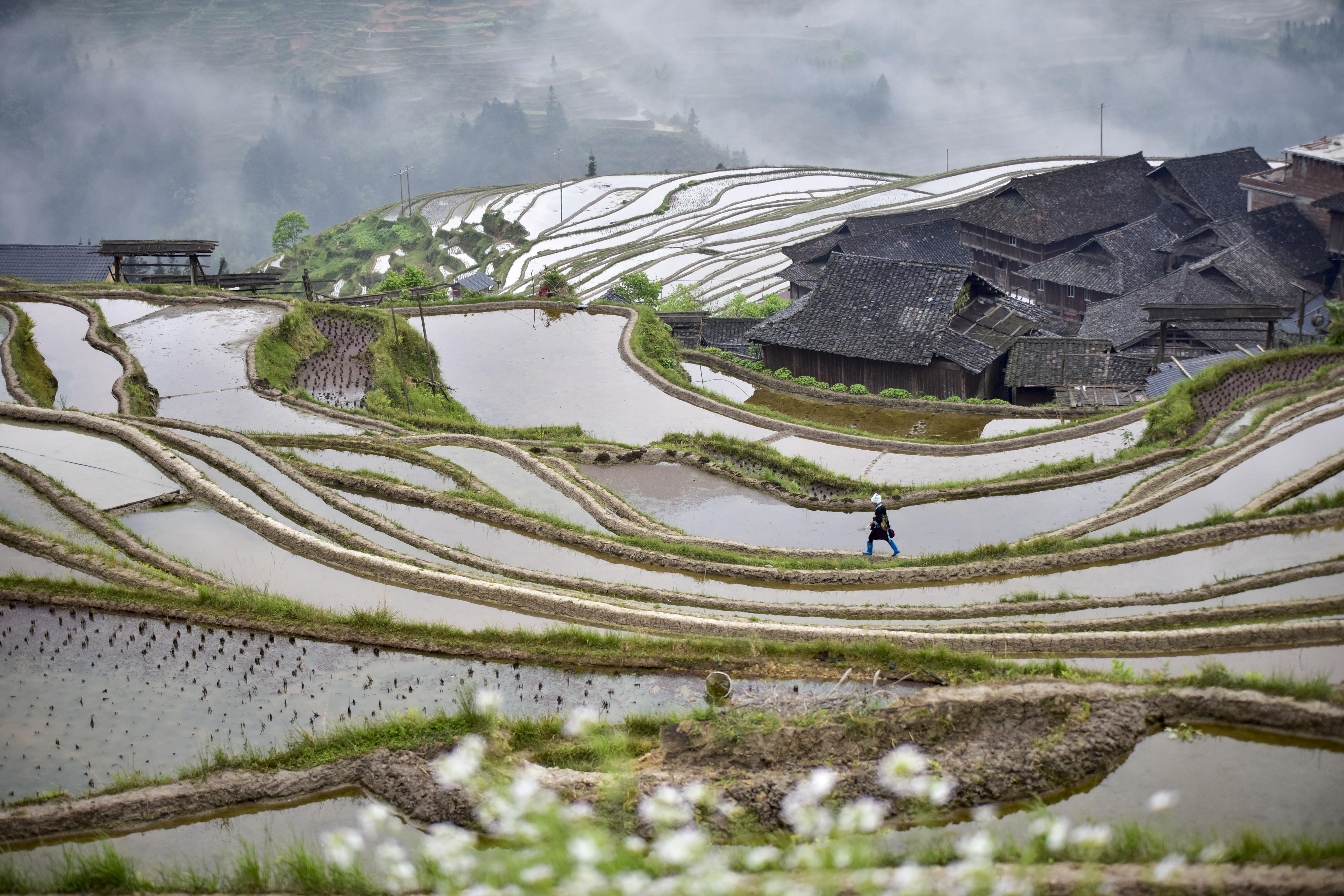 Jiabang Terraced Fields in Southwestern China