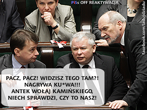 mem / źródło: Facebook/PiSOffReaktywacja