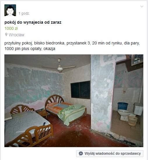 Najważniejsza rada: ten kto szuka mieszkanie, najlepiej zrobi, kiedy machnie ręką na wszelkie ogłoszenia zaczynają się od słów: