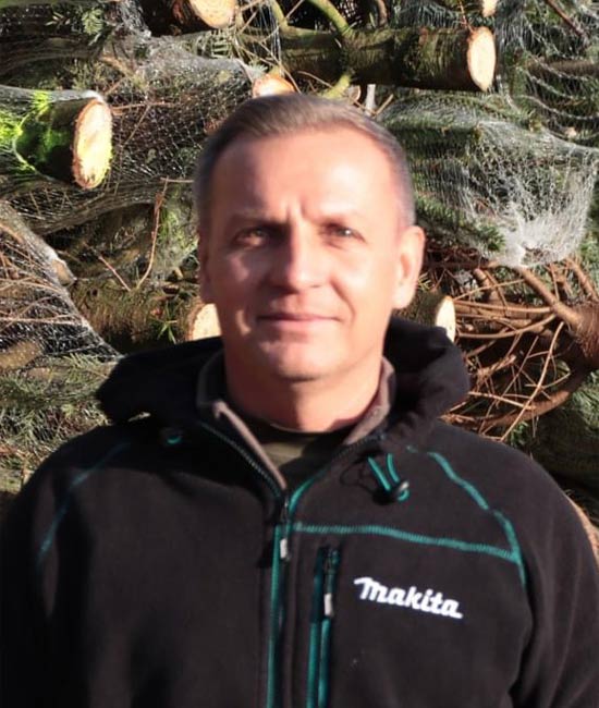 Egy kereskedő a Blikknek elárulta, átlagosan mennyivel lesz drágább idén egy fenyőfa