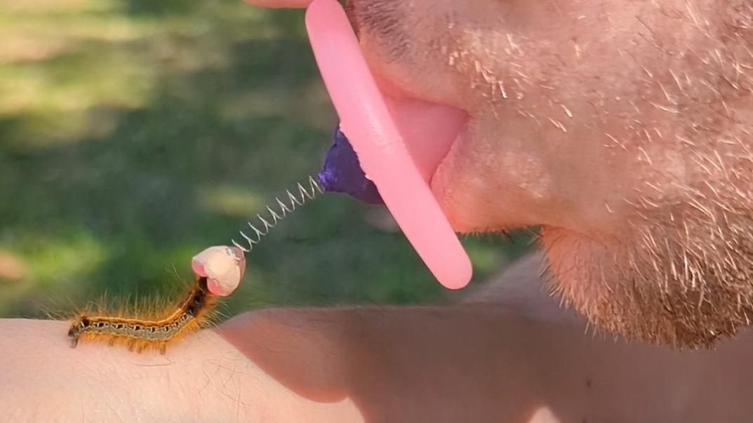 Itt a kütyü, amivel bogarakkal lehet csókolózni - videón mutatta meg a feltaláló, hogyan működik