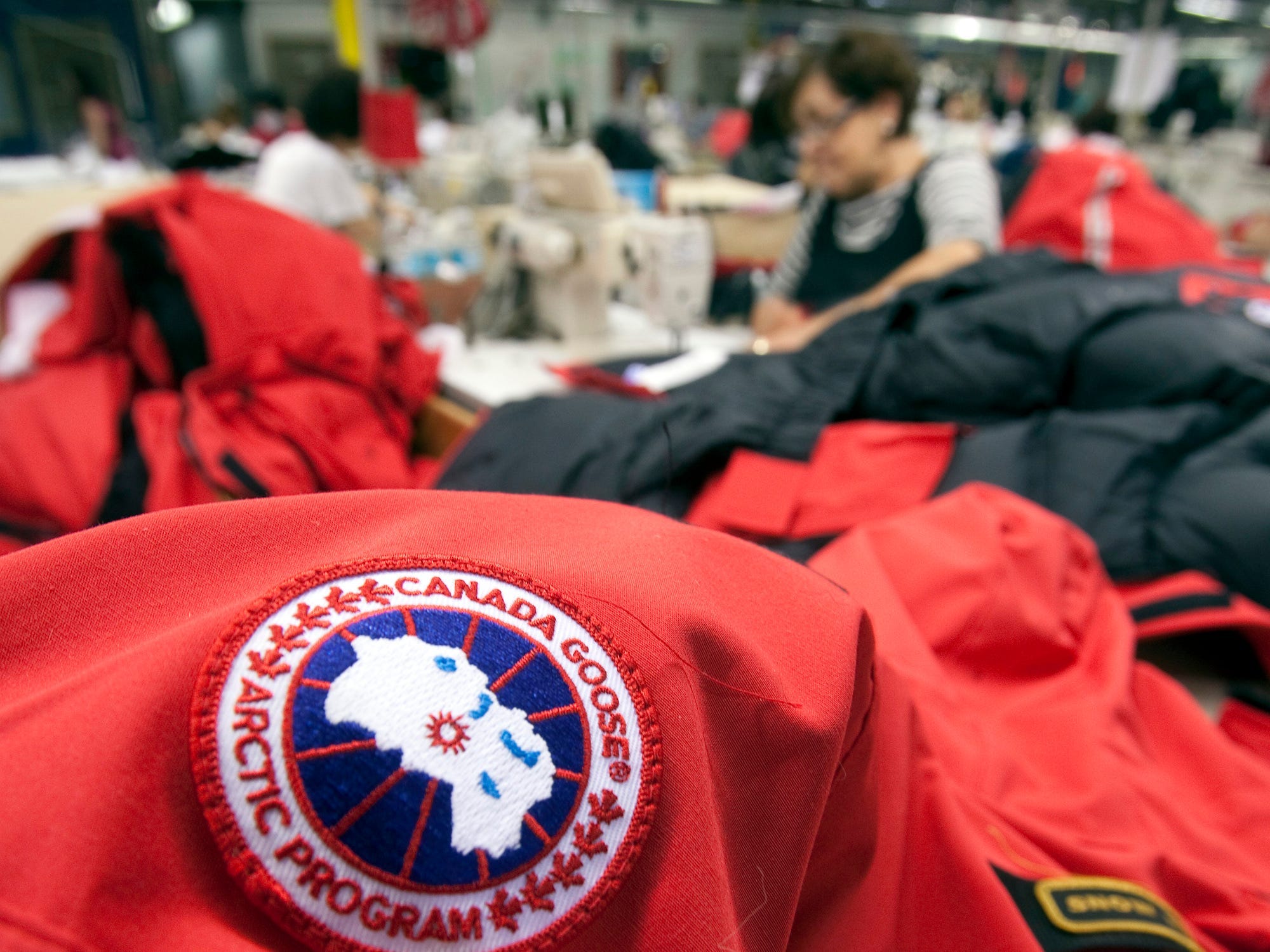 canada goose patch 50