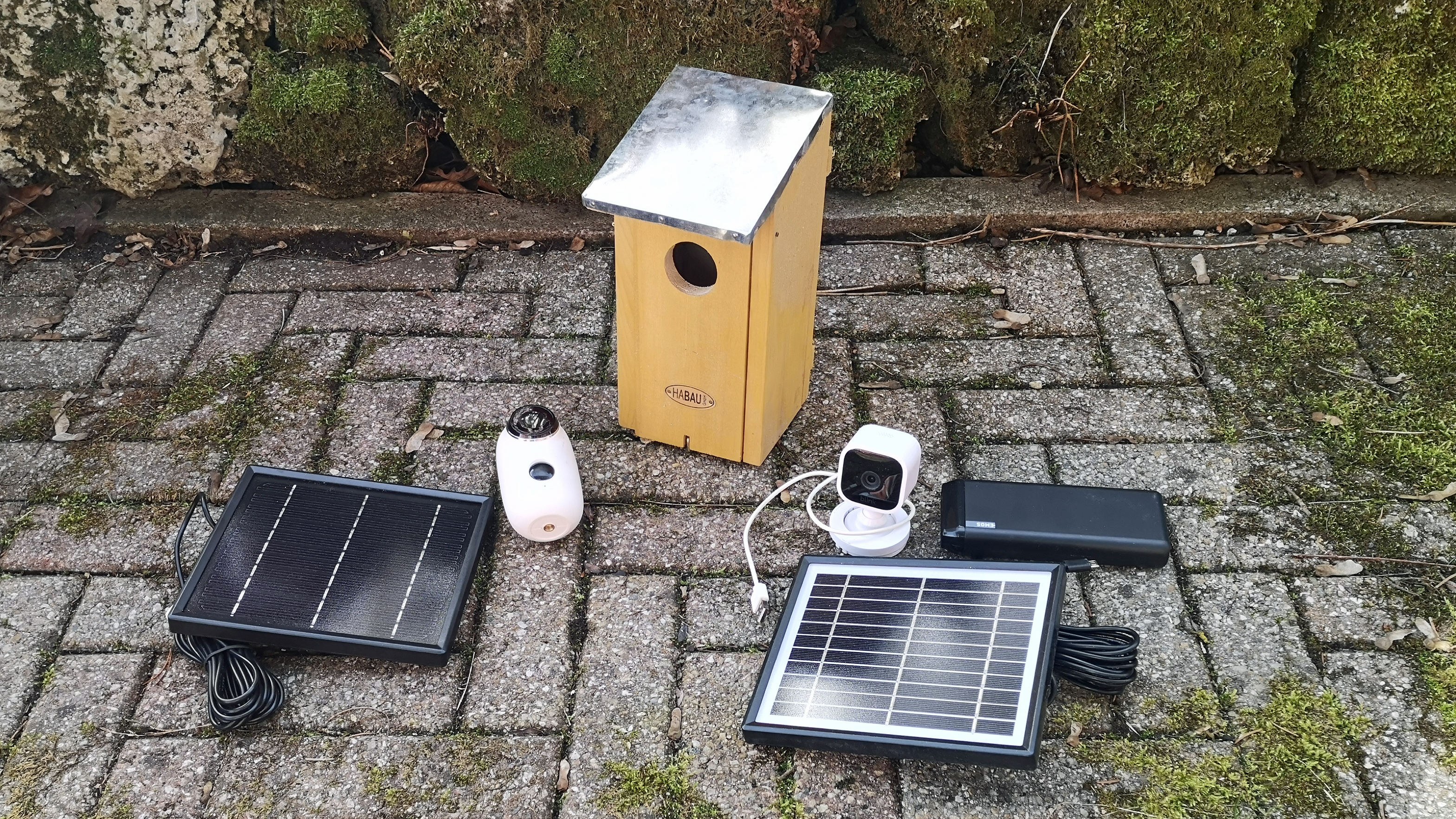 Nistkasten mit Solar-Kamera und Live-Übertragung ab 50 Euro | TechStage