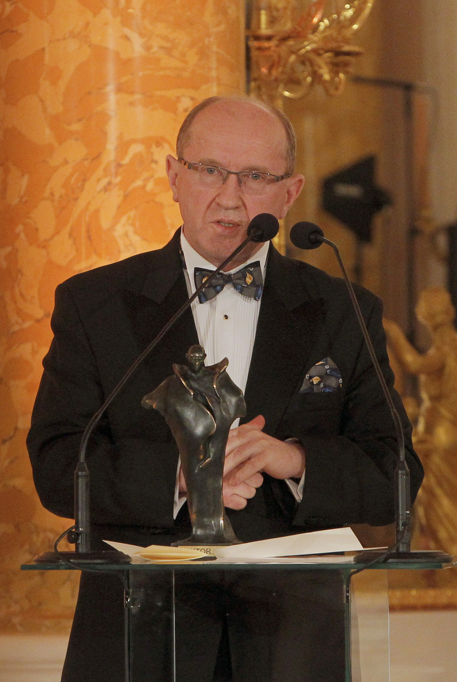 Wiktory 2015: prof. Henryk Skarżyński