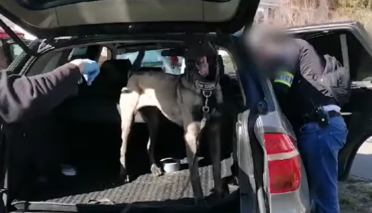 Amfetaminnal és illegális potencianövelőkkel kaptak el egy budapesti drogdílert – videó