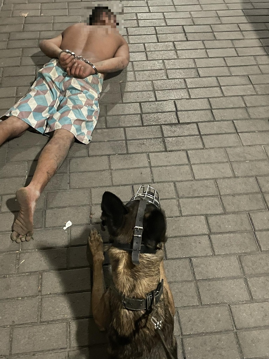 Megerőszakoltak egy nőt Pomázon