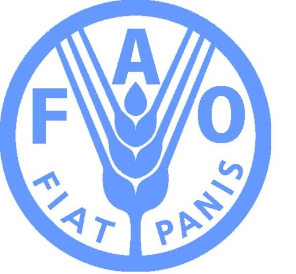 FAO Subregional Coordinator for Southern Africa reaffirms the Organization\'s commitment to meeting food security and livelihood needs in Mozambique