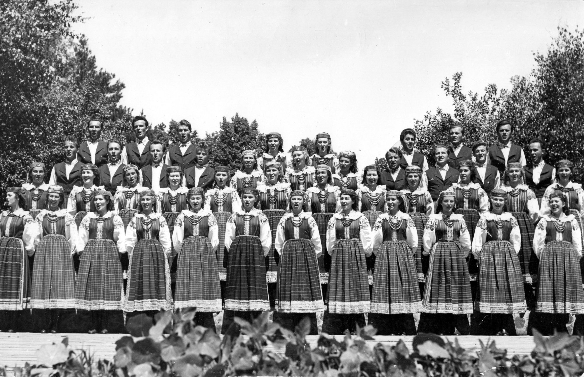 Zespół Mazowsze w 1951 roku