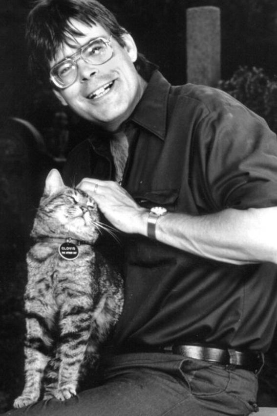 Kocią naturę doskonale rozumie Stephen King. Pewnego mruczka uczynił głównym bohaterem swojej mrocznej książki „Oko kota”. Jak mówi koty to gangsterzy świata zwierzęcego, żyjący poza prawem i tam ginący.