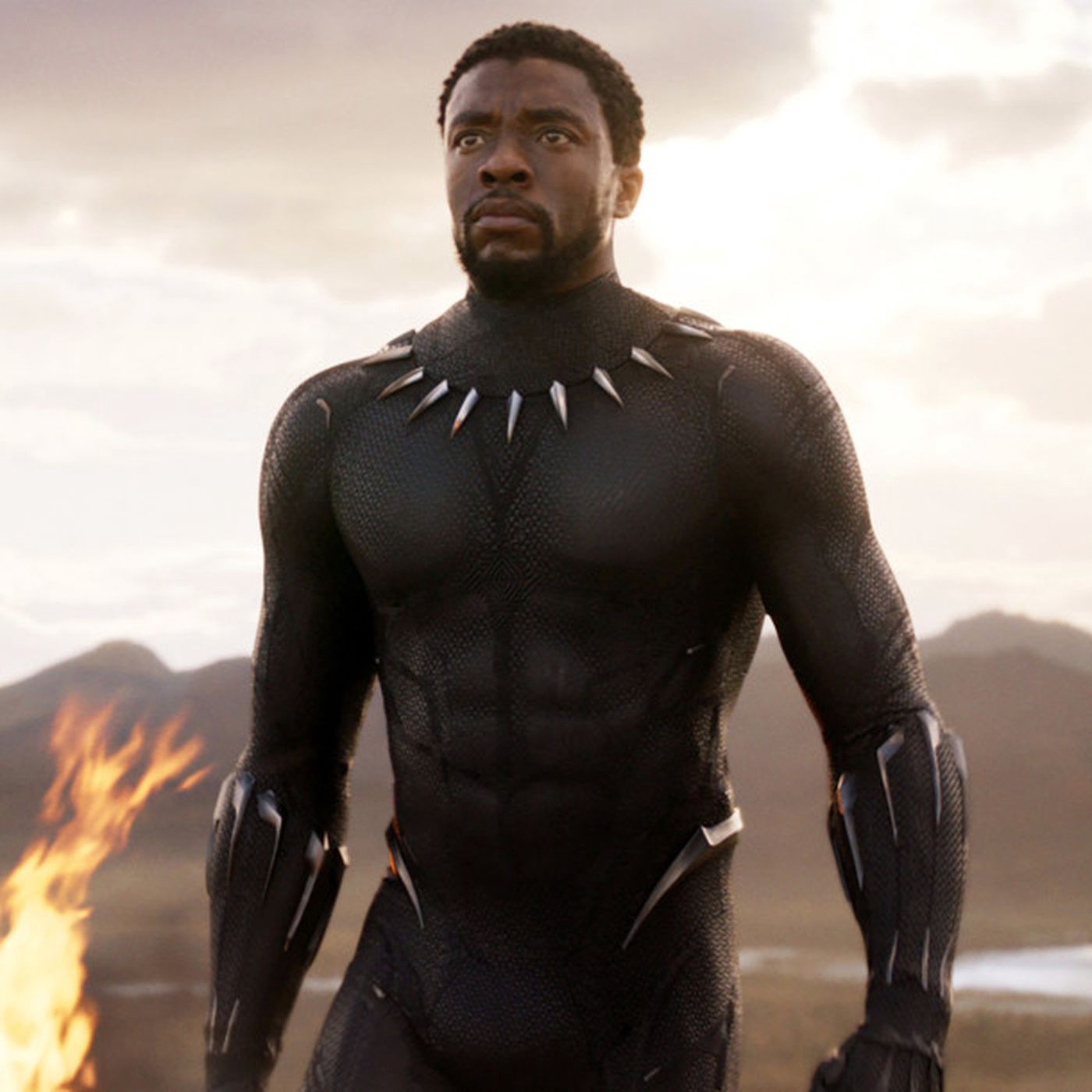 Chadwick Boseman as the Iconic King T'Challa in Marvel's 'Black Panther' [Syfy Wire]