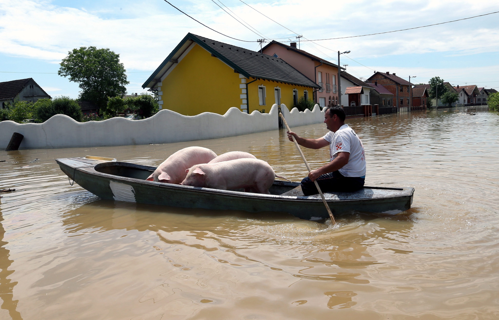 Powódź w Bośni i Hercegowinie - miejscowość Orasje