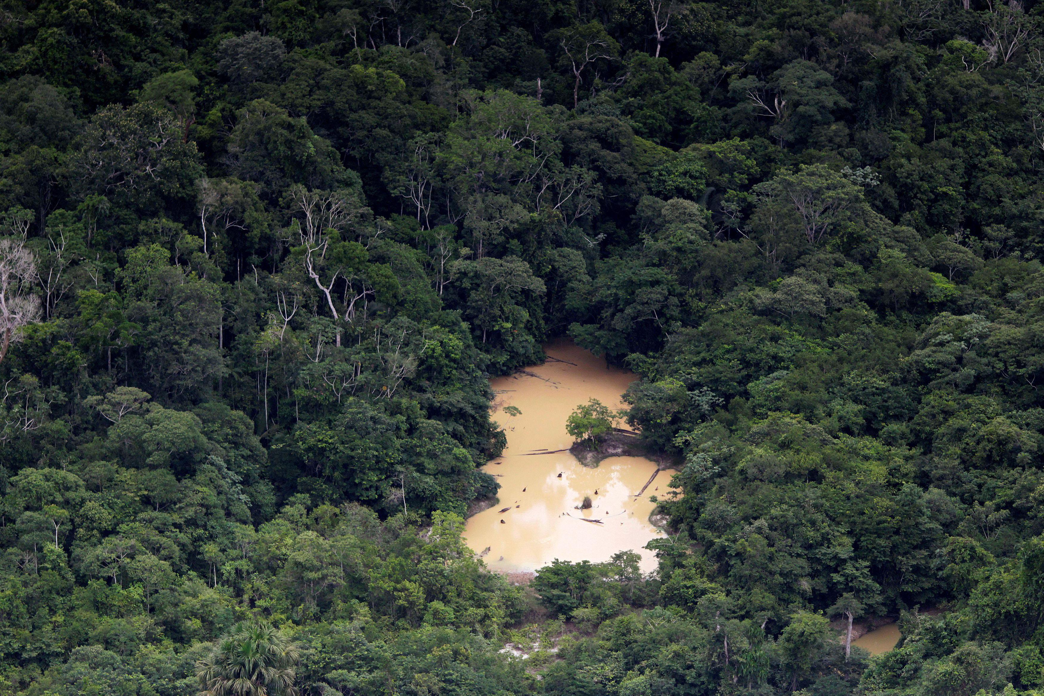 The Wider Image: Brazil's Amazon guardians