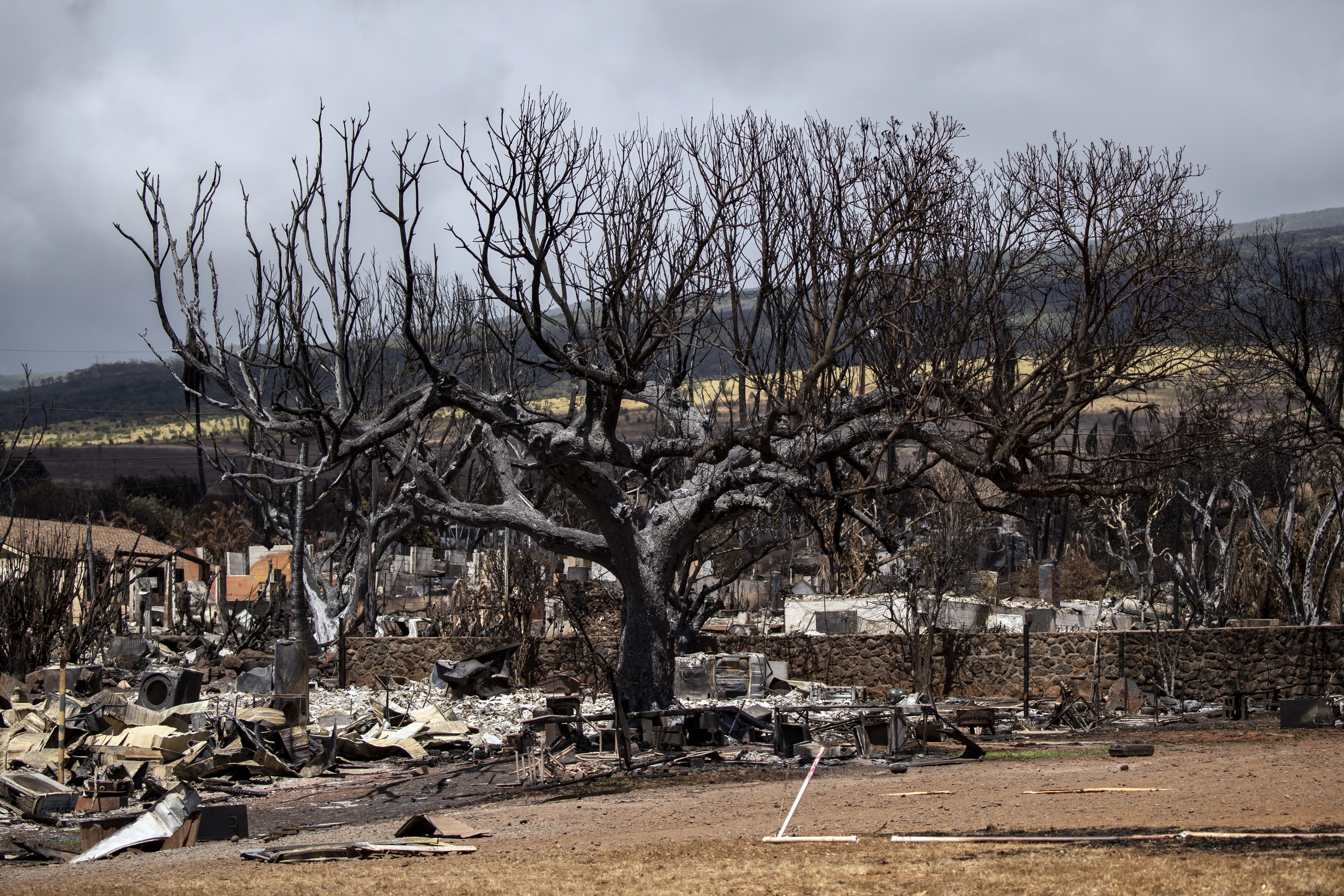 A tűz által sújtott Hawaii-ra utazik Joe Biden