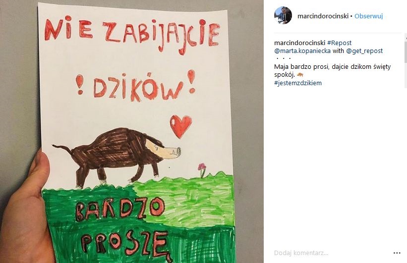 O powstrzymanie rzezi dzików prosi także aktor Marcin Dorociński