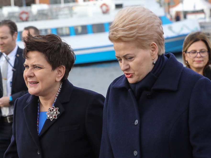 ... przydałoby się zadbać o stylizację włosów, która nie płatałaby takich figli podczas oficjalnych wystąpień. Jak widać na zdjęciu, było to możliwe, bo litewskiej prezydent się udało...