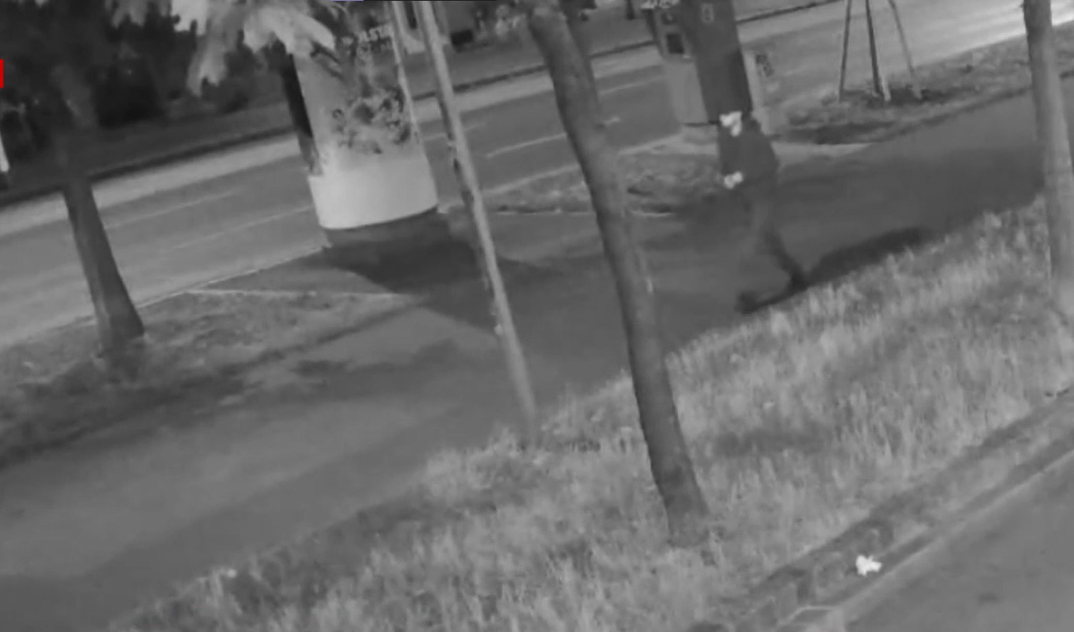 Dühös volt a világra: így védekezik a 17 éves bécsi gyilkos, aki egy magyar hajléktalant is halálra késelt – videó