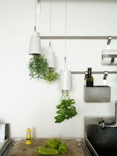 Sky Planter