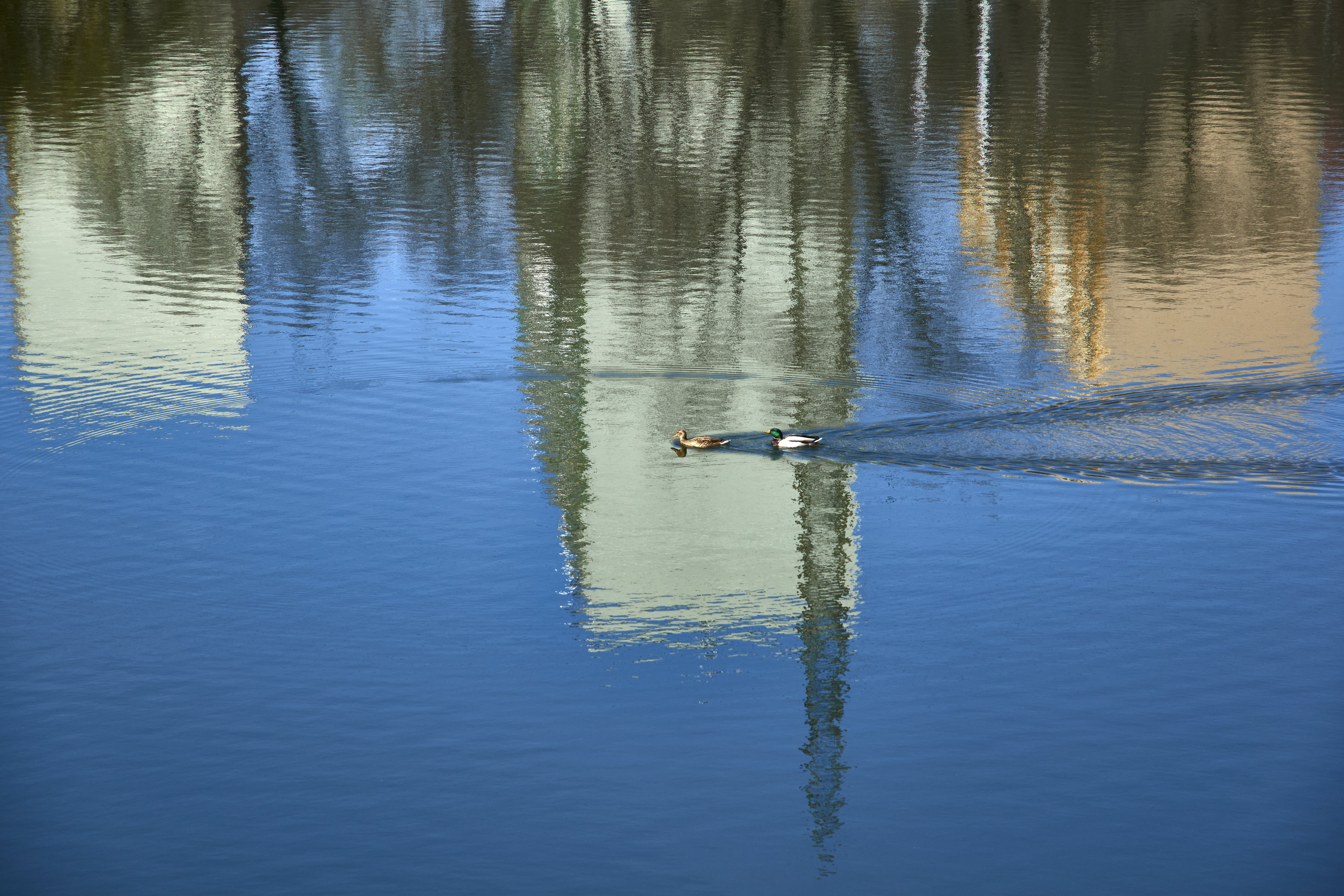Egy hajszálon múlt az élete: egy horgász és a rendőrök húztak ki egy idős nőt a Téglagyári bányatóból