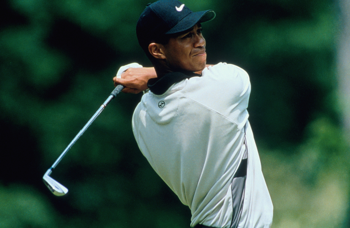 Tiger Woods, Elin Nordegren