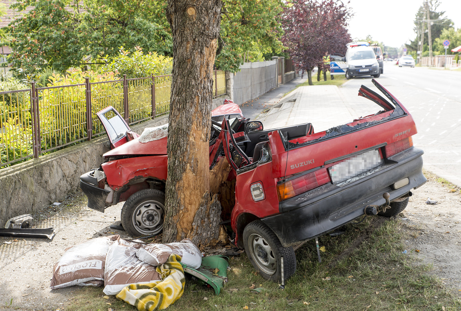 "Meg fogtok dögleni!" - Szánt szándékkal akarta kivégezni utasait a magyar ámokfutó, majd egy fába hajtott - sokkoló videón az áldozat