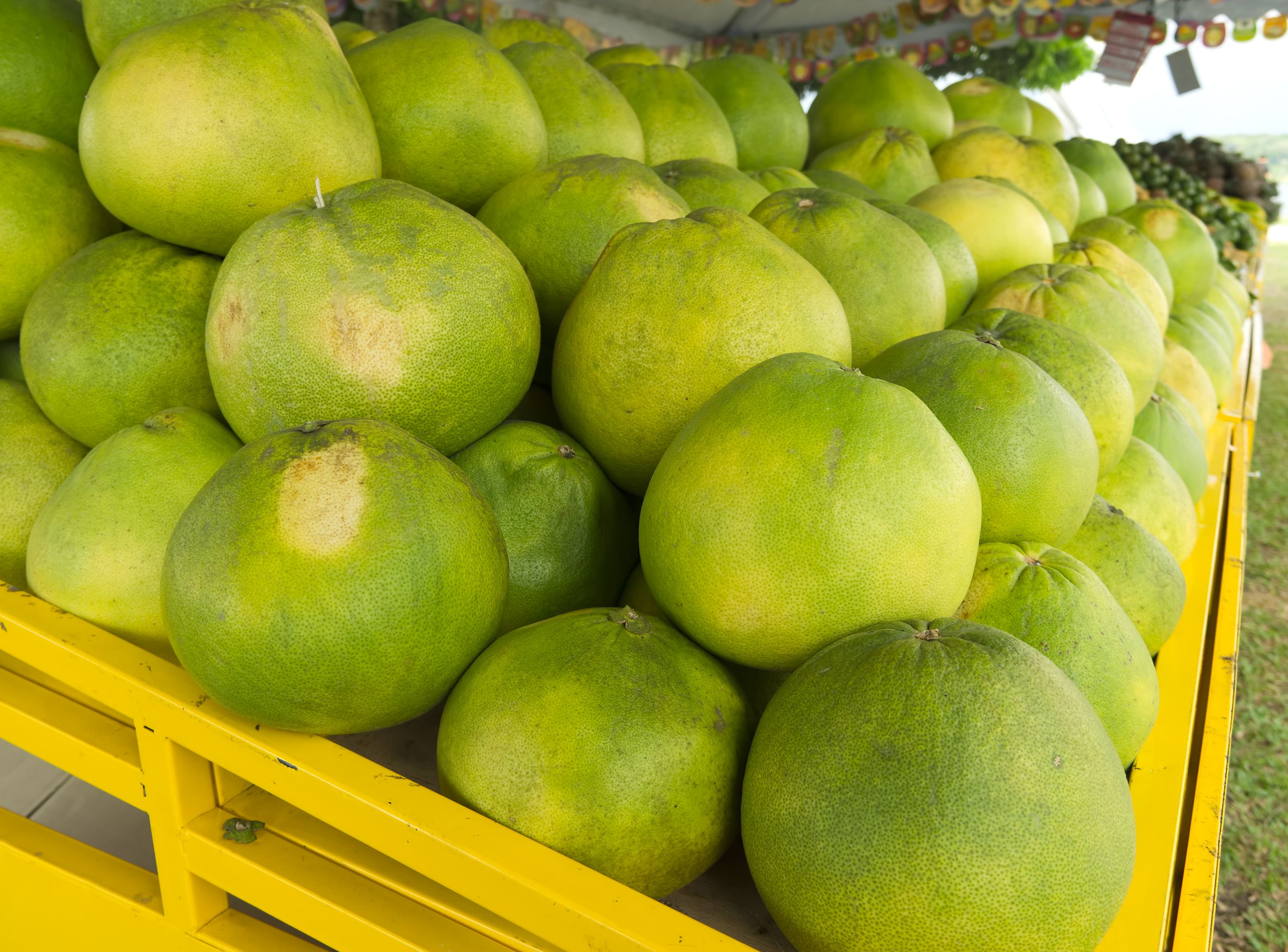 3. Pomelo