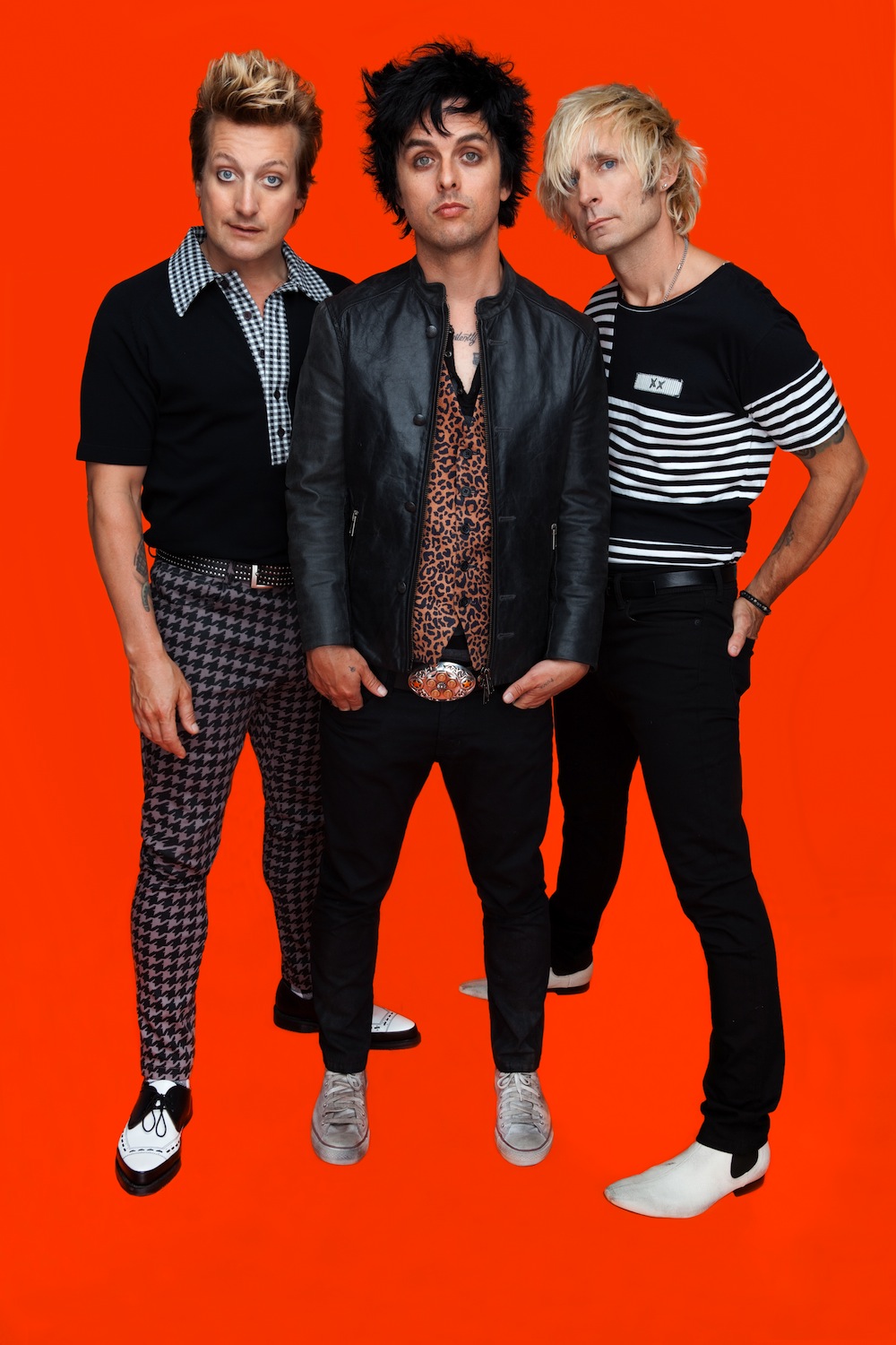 Zespół powstał w 1987 roku w Kalifornii. Jego założycielami byli wokalista i gitarzysta Billie Joe Armstrong i basista Mike Dirnt. W 1994 roku zespół wydał album
