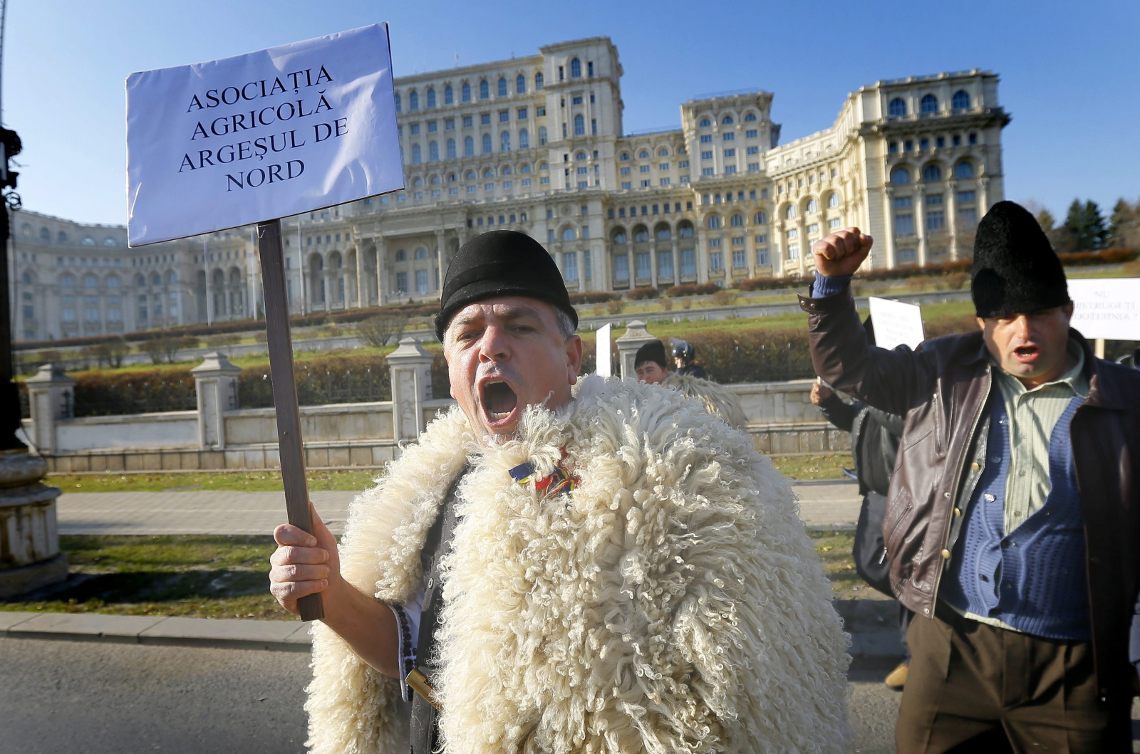 Rumuńscy pasterze protestują